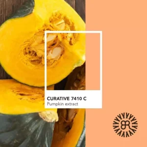 Dầu Gội Bulbs&Root Curative Purifying Shampoo, Dầu Gội Đầu Thuần Chay Làm Sạch Sâu Cho Da Đầu Gầu