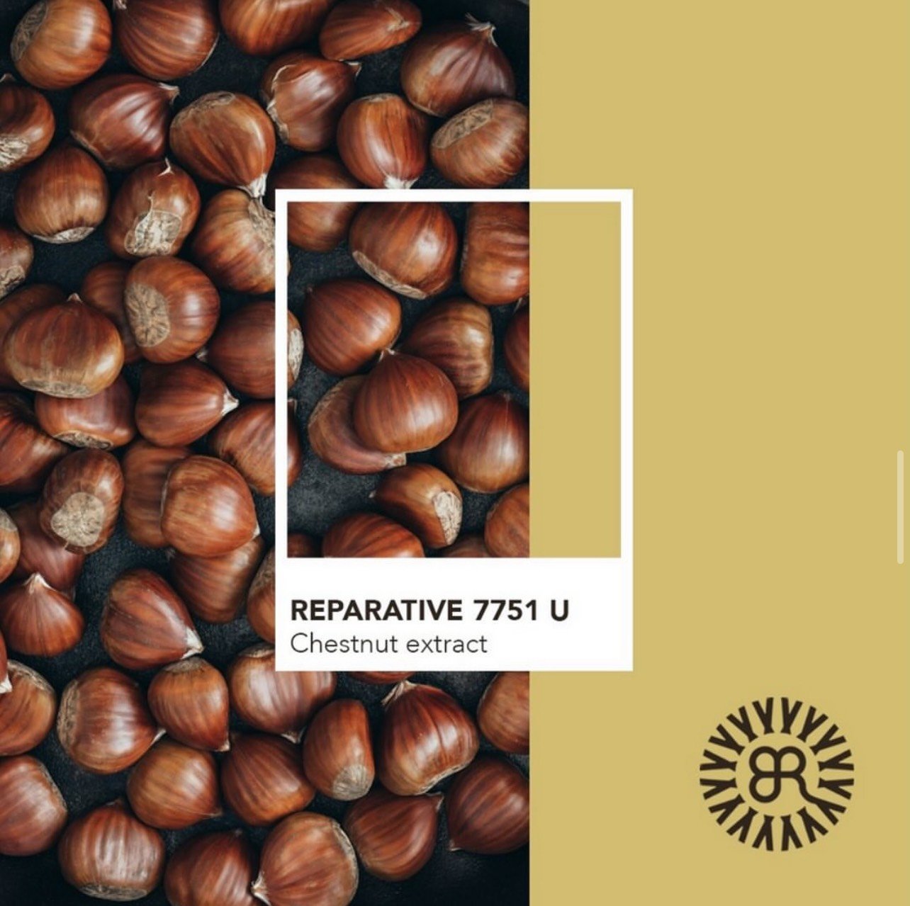 Dầu gội thuần chay phục hồi hư tổn - B&R REPARATIVE SHAMPOO - Ảnh 5